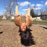 18423798_10106281405554719_1785795985495587351_n